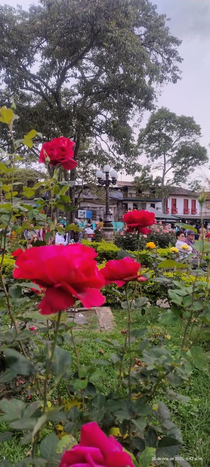 Europa Ecotours Hotel Jardin Luaran gambar